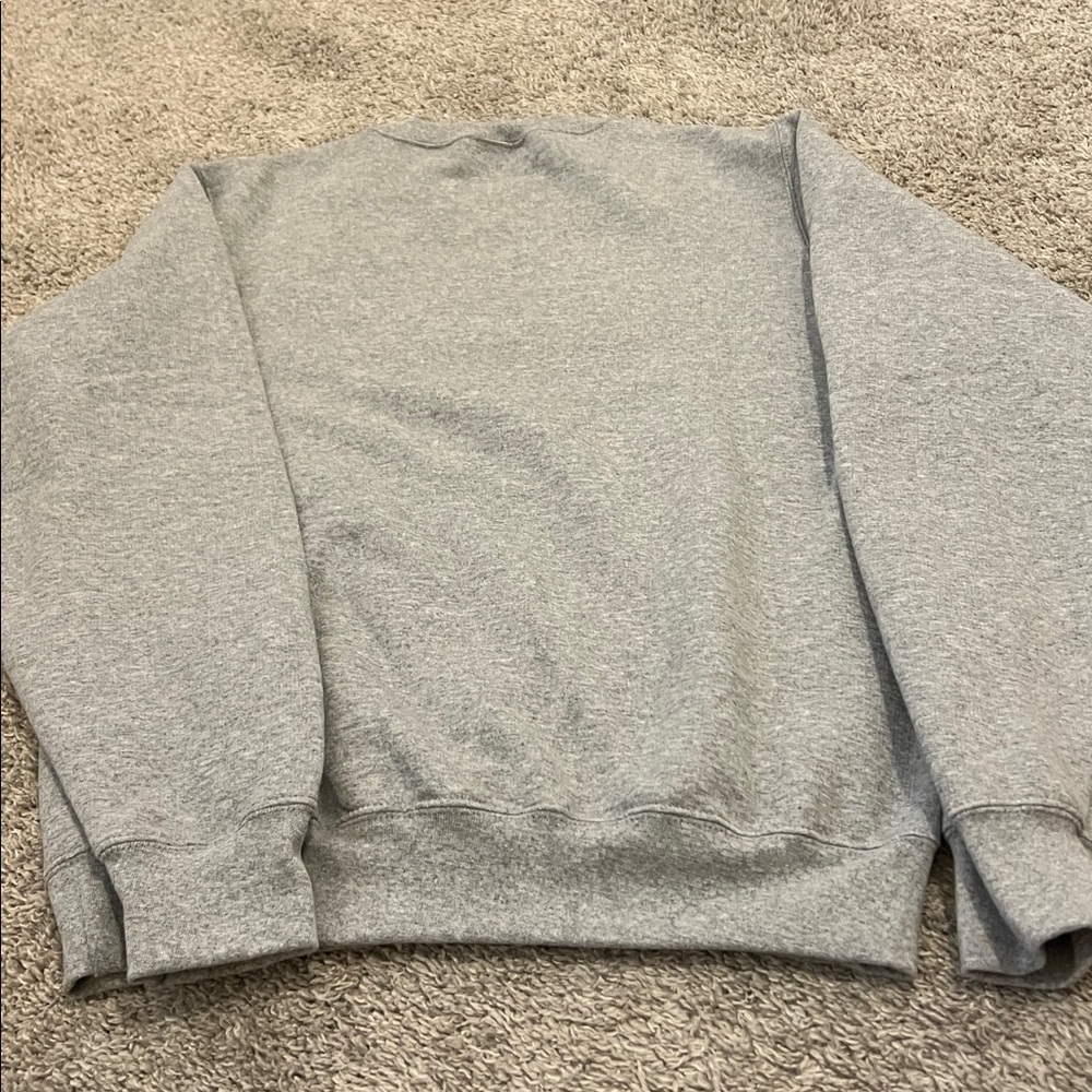 Taylor Swift Albums Embroidered Gray Sweatshirt Small Swiftie Apparel Cozy Top - Picture 12 of 16